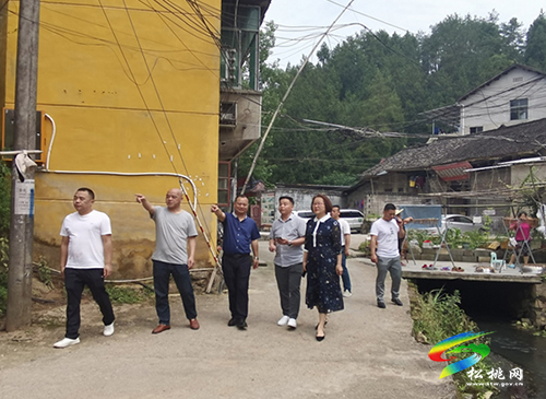 石小莉到濱江社區(qū)第十網(wǎng)格調(diào)研并上黨課