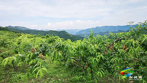 牛郎鎮(zhèn)紅衛(wèi)村：改善人居環(huán)境助力鄉(xiāng)村振興