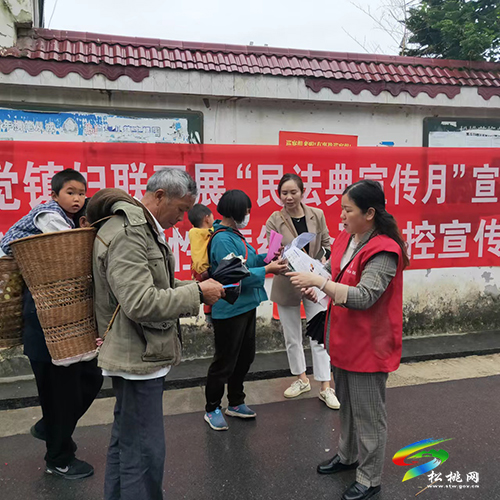 松桃婦聯(lián)“五個(gè)強(qiáng)化”助推“四安家園”建設(shè)