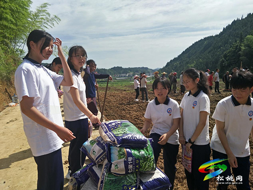 平頭鎮(zhèn)：以“黨建+”喚醒“沉睡地”