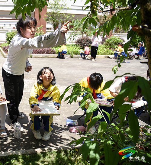 松桃七完小：桃子熟了，校園里舉行了歡樂的采摘節(jié)