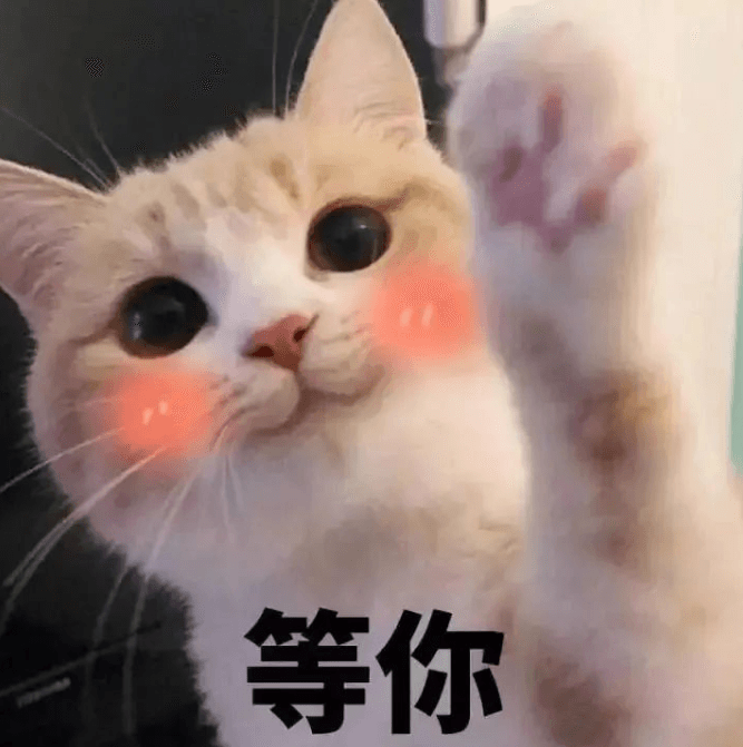令人難以置信的美麗！華春瑩點(diǎn)贊梵凈山