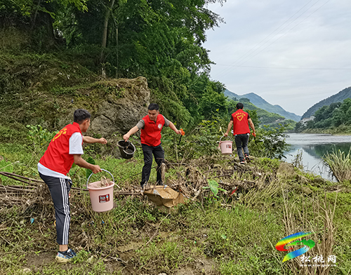 木樹鎮(zhèn)：踐行生態(tài)文明新理念 守護(hù)綠水青山志愿行