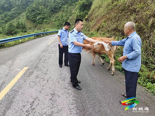 松桃公安：民警為群眾找回耕牛獲贊