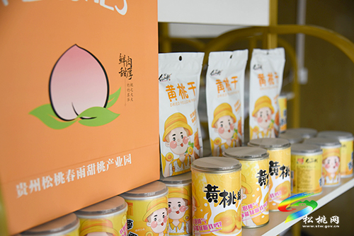 “桃”醉整個夏天，烏羅鎮(zhèn)的500畝桃子逐漸成熟