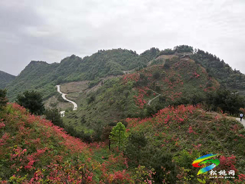 松桃：兩村上榜貴州鄉(xiāng)村旅游重點村名錄