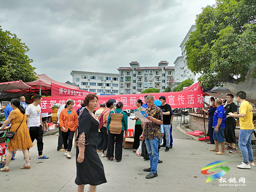 迓駕鎮(zhèn)開展國際禁毒日宣傳活動(dòng)