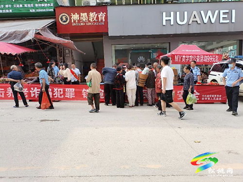 盤信鎮(zhèn)：開展打擊整治養(yǎng)老詐騙系列宣傳活動