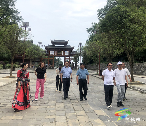 屏邊縣考察團到松桃考察學(xué)習(xí)文旅融合發(fā)展工作
