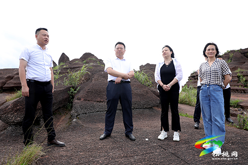 商友江到松桃調(diào)研旅游產(chǎn)業(yè)化工作