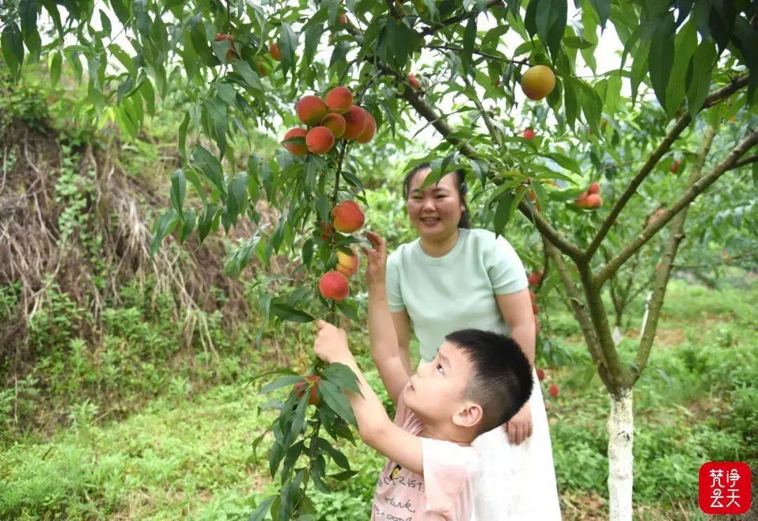 “錳都”新顏——銅仁深入推進錳污染高標準治理和錳產(chǎn)業(yè)高質量發(fā)展