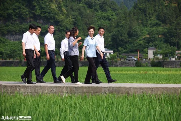 諶貽琴在銅仁市調(diào)研
