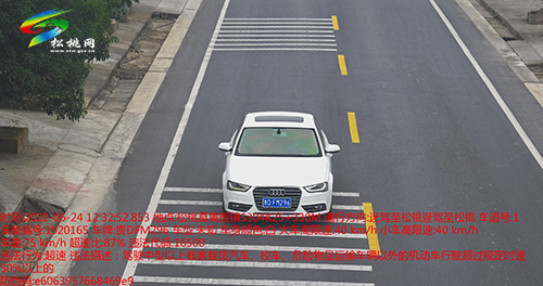 【文明曝光】曝光車輛及駕駛?cè)诉`停等違法、違規(guī)行為