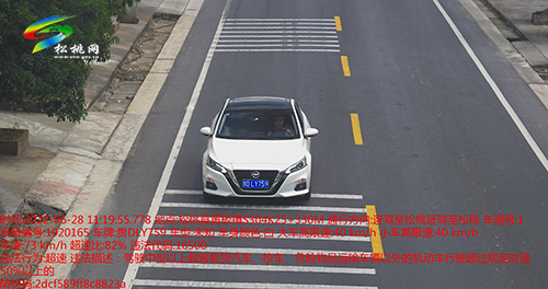 【文明曝光】曝光車輛及駕駛?cè)诉`停等違法、違規(guī)行為