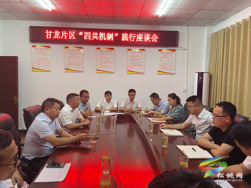 ​甘龍片區(qū)開(kāi)展“四共”機(jī)制踐行既2022年機(jī)關(guān)支部“七一”聯(lián)誼活動(dòng)