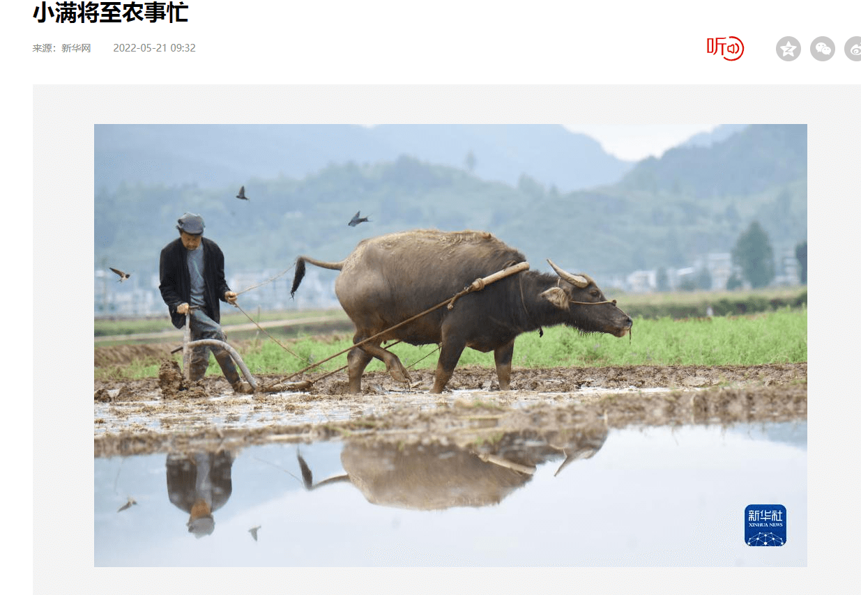 外媒看松桃|新鮮出爐！松桃上半年外宣成績單來啦！
