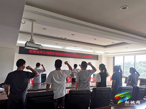 松桃審計局舉行行政執(zhí)法人員宣誓活動