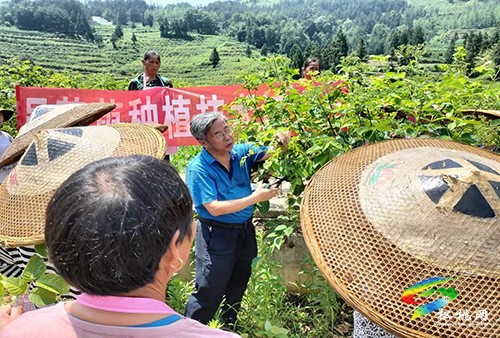 松桃開展吳茱萸技術(shù)培訓(xùn)