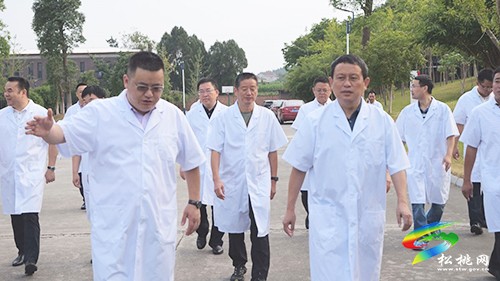 龍群躍率團(tuán)赴福州、綿陽招商引資