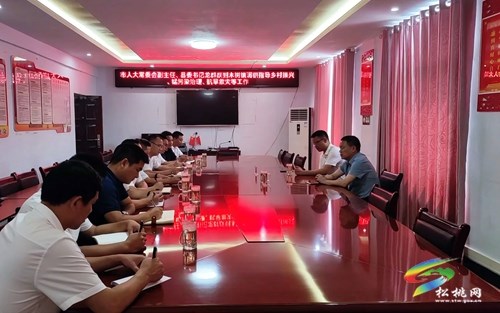 龍群躍到長興木樹調(diào)研指導(dǎo)工作