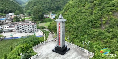 松桃：老區(qū)新貌話振興 油茶鋪就致富路