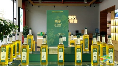 松桃：老區(qū)新貌話振興 油茶鋪就致富路