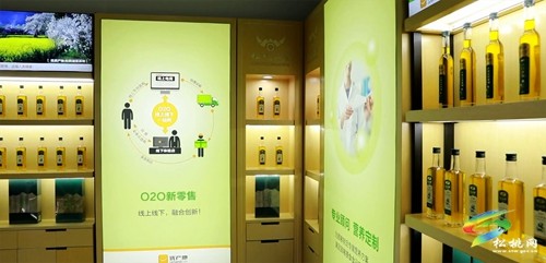 松桃：老區(qū)新貌話振興 油茶鋪就致富路