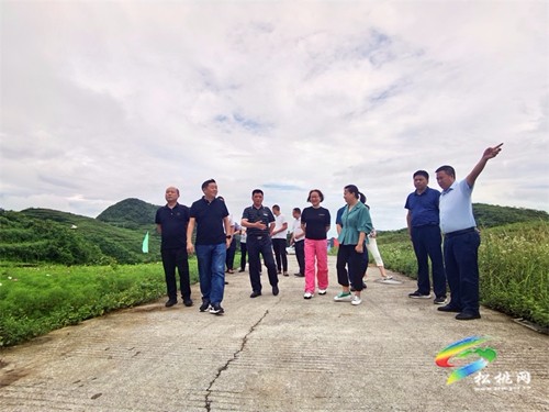石敏率隊(duì)到甘龍瓦溪永安調(diào)研