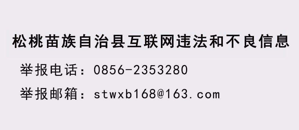 冷水溪鎮(zhèn):發(fā)放“愛心頭盔”守護(hù)群眾安全出行