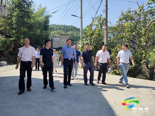 中國電子信息產(chǎn)業(yè)集團有限公司來松桃調(diào)研定點幫扶工作