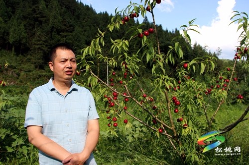 楊秀明：返鄉(xiāng)創(chuàng)業(yè)領航人