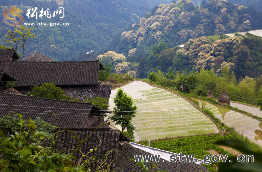 沙壩河鄉(xiāng)民族風(fēng)情攝影活動(dòng)掠影