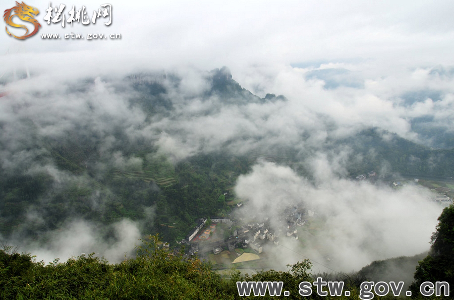 矮寨懸索大橋霧景