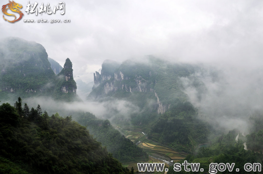 矮寨懸索大橋霧景