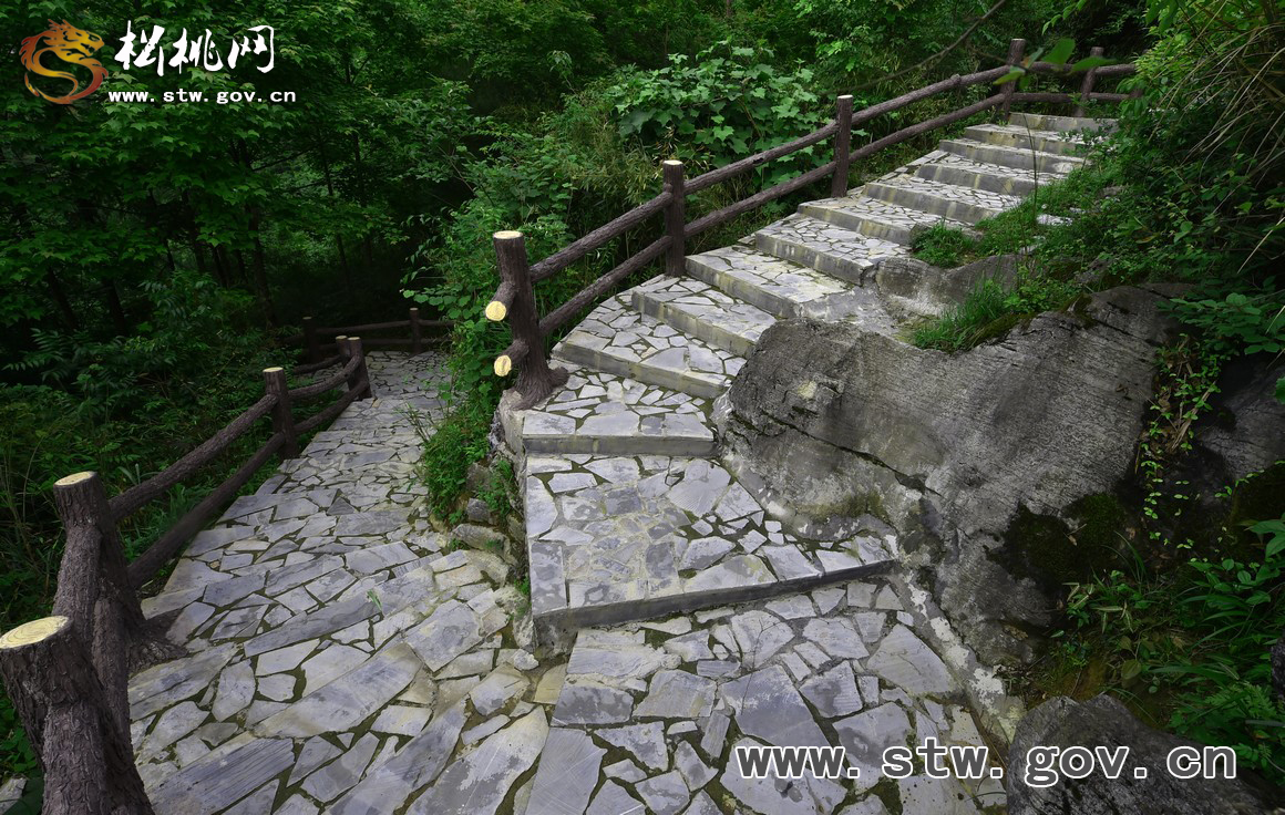 響水觀光步道，會(huì)呼吸的綠色“云梯”