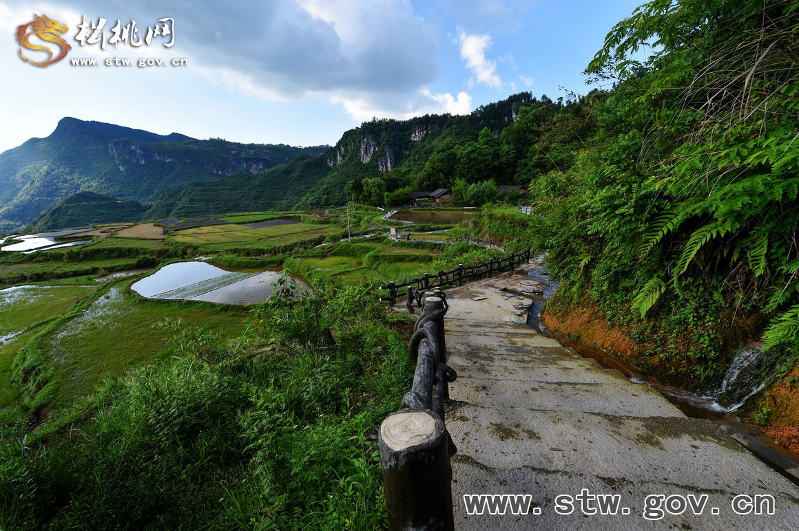 響水觀光步道，會(huì)呼吸的綠色“云梯”