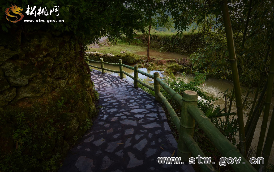 響水觀光步道，會呼吸的綠色“云梯”
