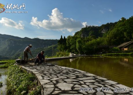 響水觀光步道，會呼吸的綠色“云梯”