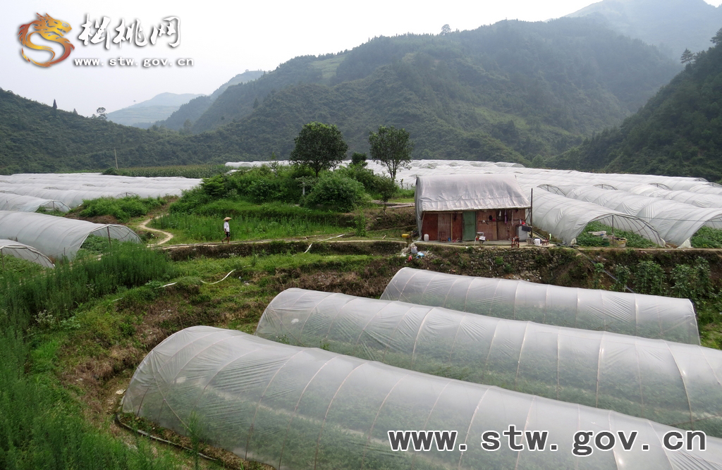 牛郎加大“園區(qū)建設(shè)”美了生態(tài),富了百姓
