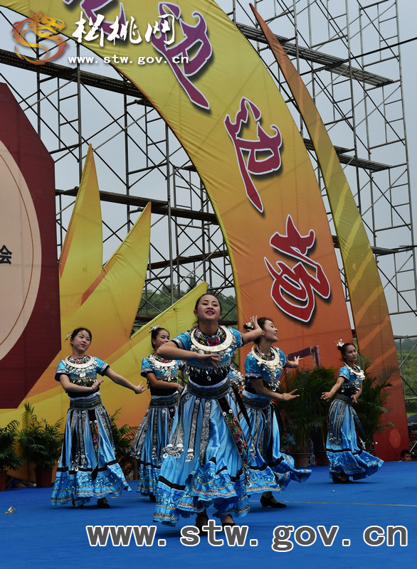數(shù)萬群眾相約九龍　共度中國(guó)苗族情人節(jié)