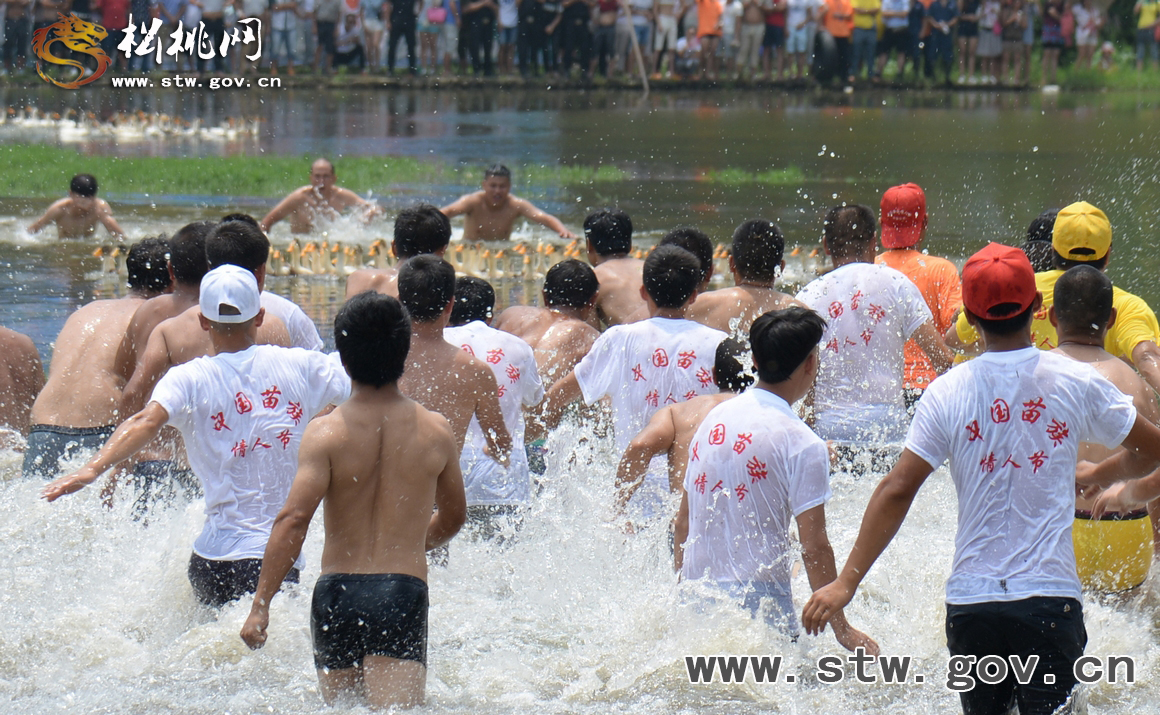 數(shù)萬(wàn)群眾相約九龍　共度中國(guó)苗族情人節(jié)