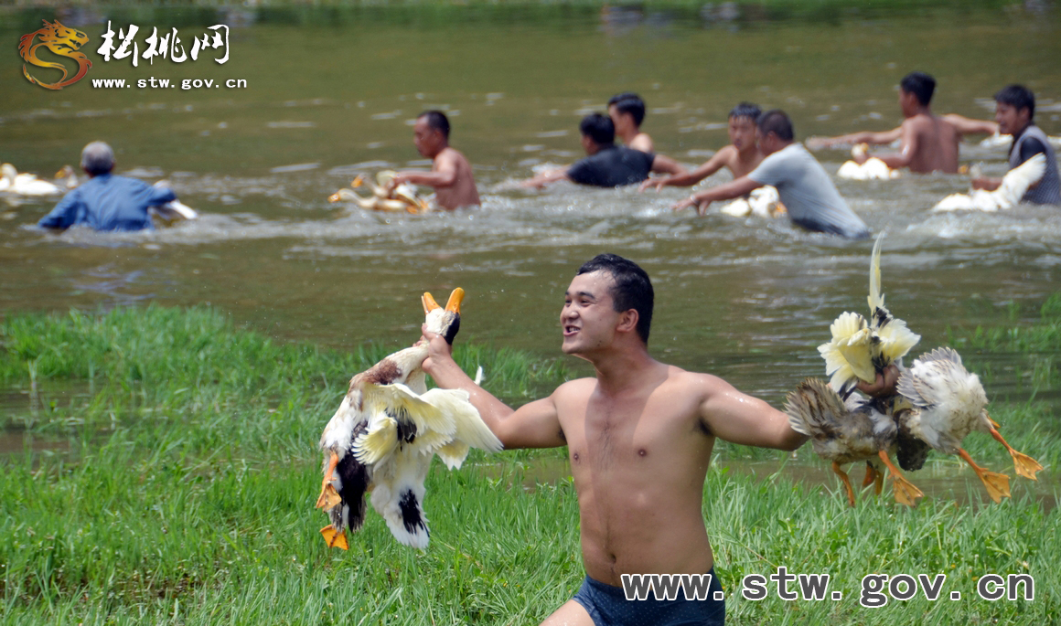 數(shù)萬(wàn)群眾相約九龍　共度中國(guó)苗族情人節(jié)