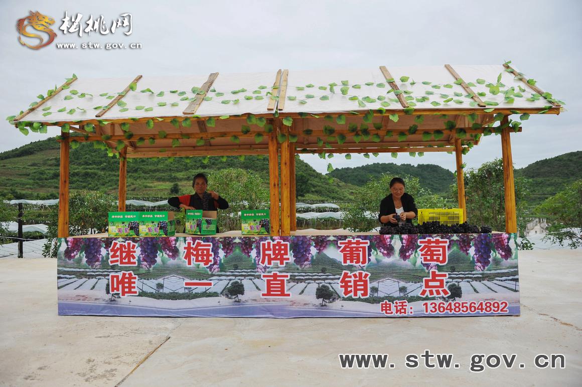葡萄那么甜　我想去嘗嘗