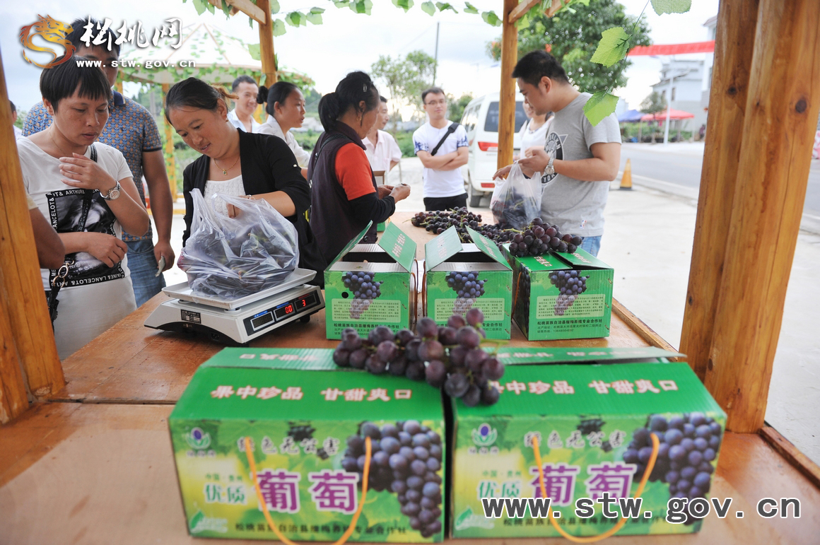 葡萄那么甜　我想去嘗嘗