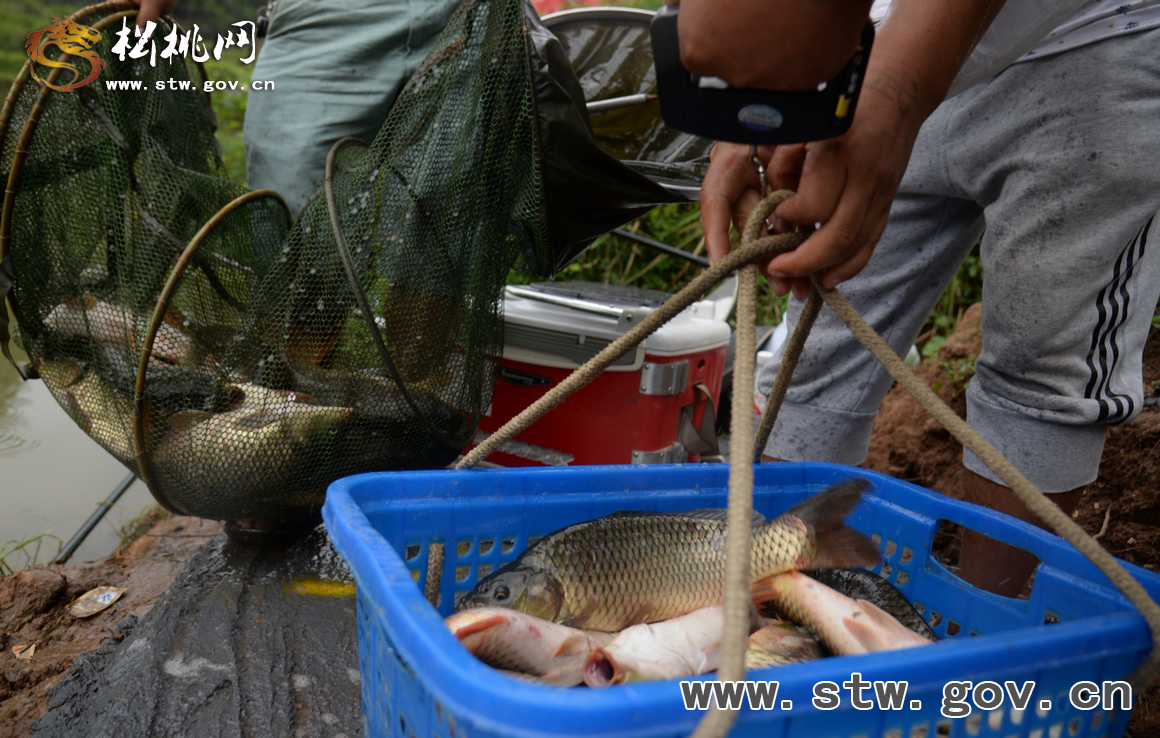 黔渝百名釣友在松桃舉行釣魚比賽