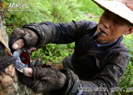 唐昌富:難以“割舍”的熱愛