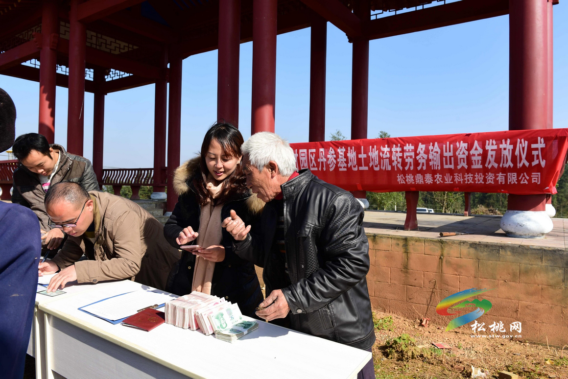 松桃丹參基地發(fā)錢了