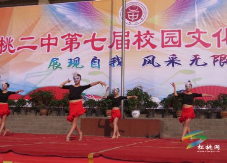 青春風(fēng)采，魅力二中