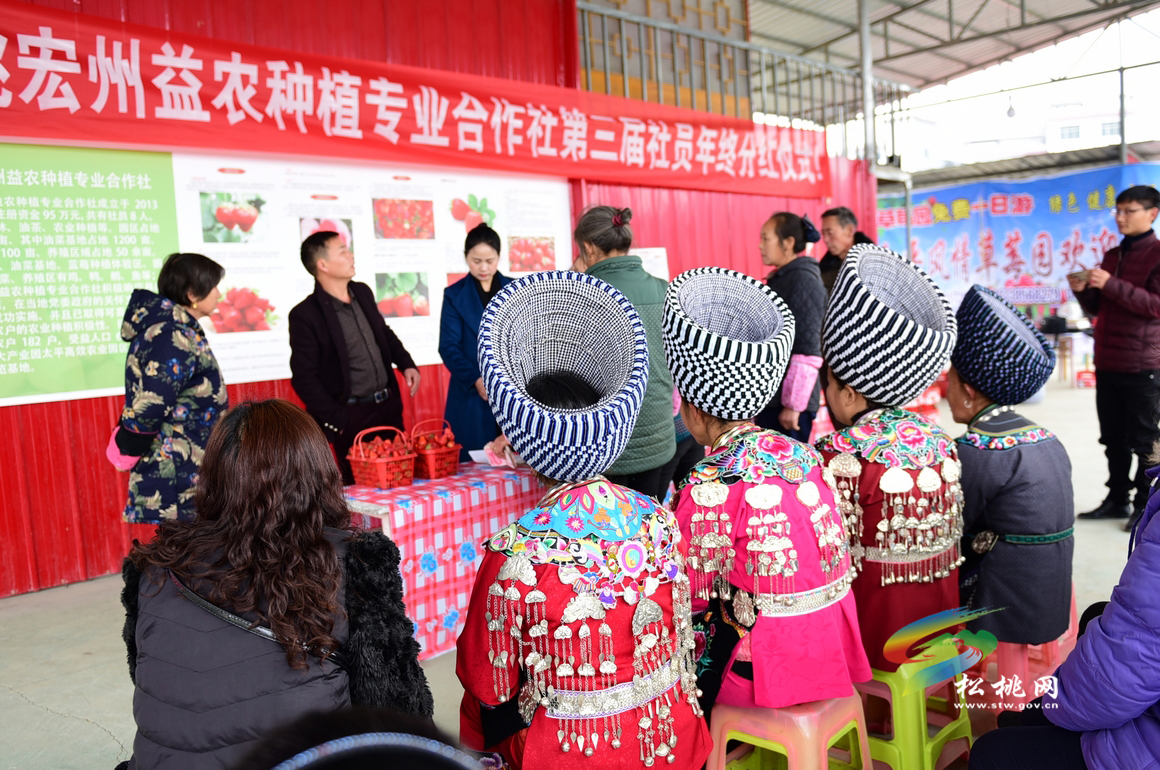 貧困戶(hù)變股民  年終喜分紅