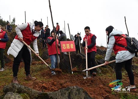 松桃舉行2017年全民義務(wù)植樹(shù)活動(dòng)